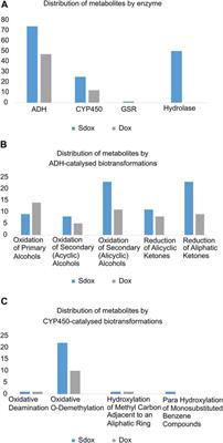 A Comprehensive Evaluation of Sdox, a Promising H2S-Releasing Doxorubicin for the Treatment of Chemoresistant Tumors